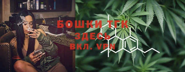 хмурый Горно-Алтайск