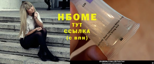 прущие грибы Вязьма