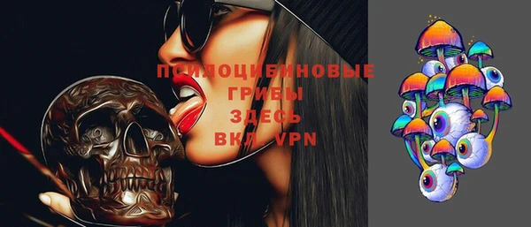 spice Горнозаводск