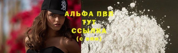 прущие грибы Вязьма