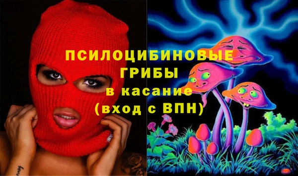 хмурый Горно-Алтайск