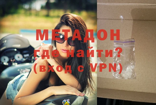 прущие грибы Вязьма