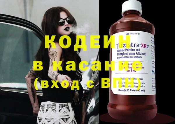 хмурый Горно-Алтайск