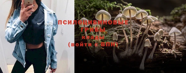 дурь Майский