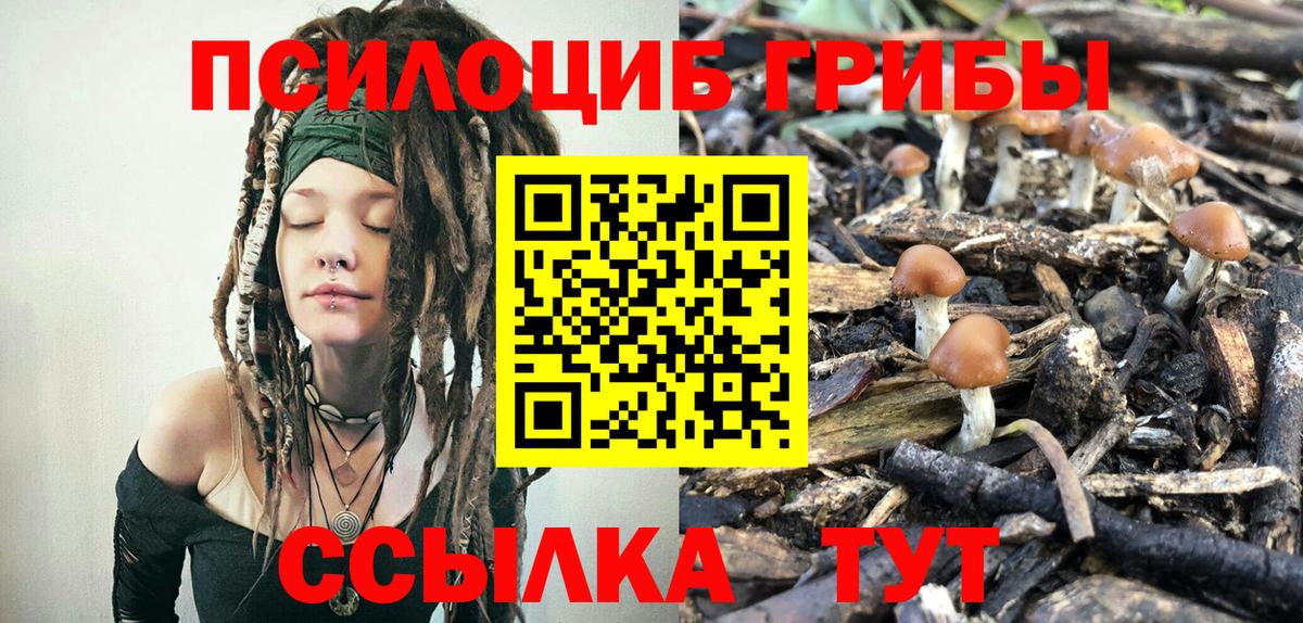 Галлюциногенные грибы Magic Shrooms  Вход с VPN  Галлюциногенные грибы MAGIC MUSHROOMS  Дальнереченск 