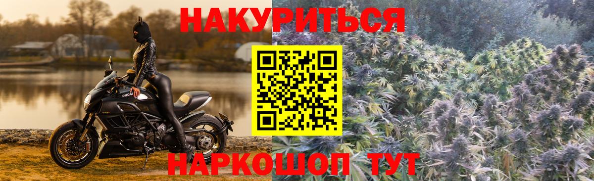 Бошки марихуана White Widow Дальнереченск